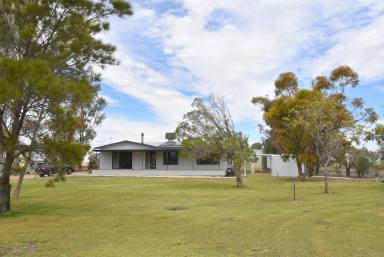 Farm Sold - NSW - Moree - 2400 - 99 ACRES CLOSE TO TOWN!  (Image 2)