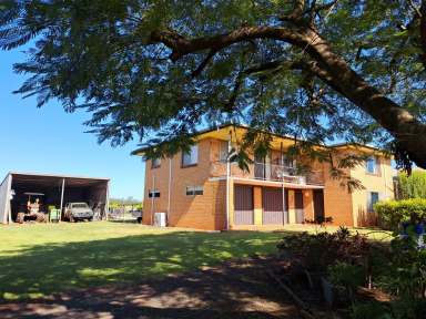 Farm For Sale - QLD - Gregory River - 4660 - 2 Incomes on one property, 2000 trees in orchard + a nursery with room for 16,000 trees all set up with own irrigation with a 2 Story 4 brm brick hom  (Image 2)