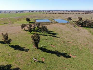 Farm For Sale - NSW - Forbes - 2871 - The Ultimate Mixed Farm With Crop Included  (Image 2)