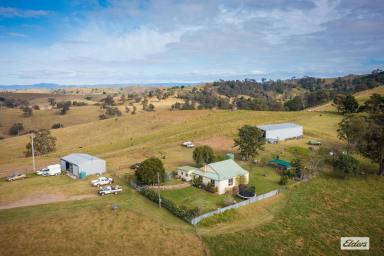 Farm For Sale - NSW - Buckajo - 2550 - LARGE BEGA GRAZING PROPERTY  (Image 2)