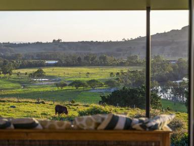 Farm Sold - NSW - Monaltrie - 2480 - Stunning Architecturally Designed Sustainable Home on 90 Acres  (Image 2)