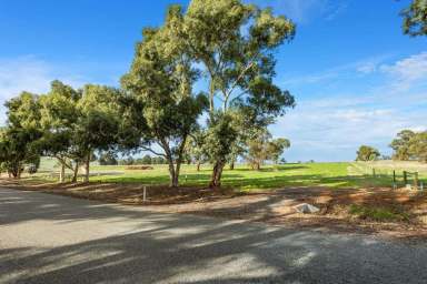 Farm Sold - WA - Ginginup - 6503 - LAND AHOY, OWNER SAYS SELL!  (Image 2)