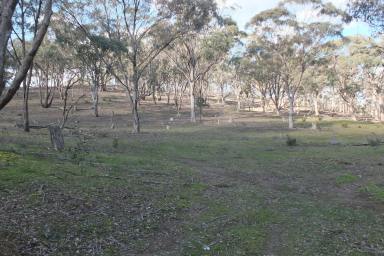 Farm Sold - VIC - Bung Bong - 3465 - 176 ACRES (approx):  GENTLY UNDULATING - THE IDEAL GETAWAY  (Image 2)