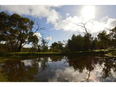 Farm Sold - SA - Humbug Scrub - 5114 - Huge, Family Home, Dual Living, Superb Views  (Image 2)