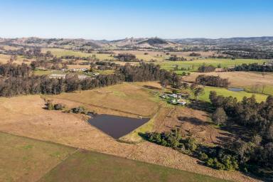 Farm Sold - NSW - Main Creek - 2420 - Looking for a country escape?  (Image 2)