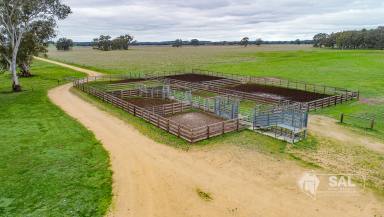 Farm Sold - SA - Mundulla - 5270 - YALANDRO - Highly Productive Country, Ready for Immediate Stocking  (Image 2)