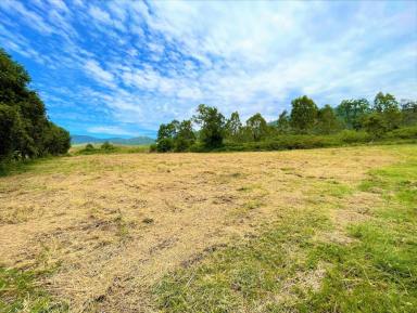 Farm Sold - NSW - Kyogle - 2474 - LAND WITH VIEWS & WATER  (Image 2)