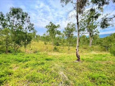 Farm Sold - NSW - Kyogle - 2474 - LAND WITH VIEWS & WATER  (Image 2)
