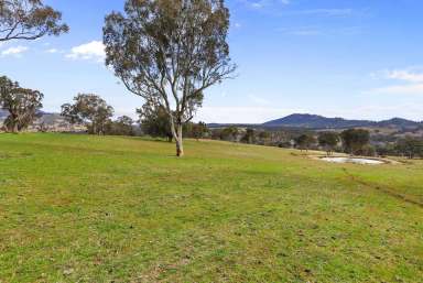 Farm Sold - NSW - Bendemeer - 2355 - 167 Quality Acres With 2 Residences  (Image 2)