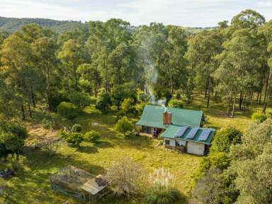 Farm Sold - VIC - Buchan South - 3885 - GRAZING PROPERTY INCLUDING CREEK & NATIVE BUSH  (Image 2)