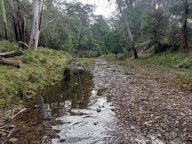 Farm Sold - VIC - Buchan South - 3885 - GRAZING PROPERTY INCLUDING CREEK & NATIVE BUSH  (Image 2)