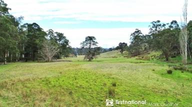 Farm Sold - VIC - Healesville - 3777 - Your Lifestyle Starts Here!  (Image 2)