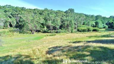 Farm Sold - VIC - Healesville - 3777 - Your Lifestyle Starts Here!  (Image 2)
