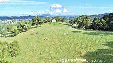 Farm Sold - VIC - Healesville - 3777 - Stunning Views with Complete Privacy  (Image 2)
