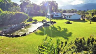 Farm Sold - QLD - Merryburn - 4854 - 2 Acres, Private Lagoon and creek – Unique Property  (Image 2)