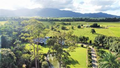 Farm Sold - QLD - Merryburn - 4854 - 2 Acres, Private Lagoon and creek – Unique Property  (Image 2)