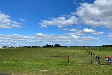 Farm Sold - SA - Millicent - 5280 - EXCITING NEW VACANT RURAL LIVING ALLOTMENT  (Image 2)