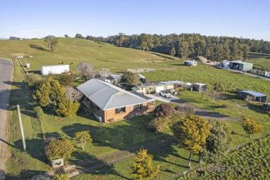 Farm For Sale - TAS - Stowport - 7321 - Those Fresh Country Feels  (Image 2)