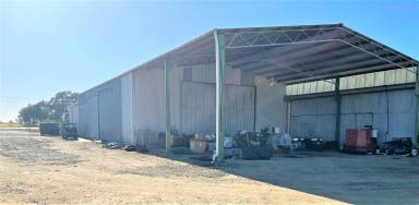 Farm For Sale - NSW - Finley - 2713 - EXCELLENT OPPORTUNITY TO PURCHASE LUCRATIVE COMMERCIAL PROPERTY - FINLEY  (Image 2)