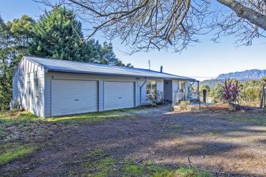 Farm Sold - TAS - Wilmot - 7310 - This is what living in Tasmania is all about!  (Image 2)