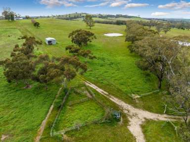 Farm Sold - VIC - Sutton Grange - 3448 - &apos;GRANGE-VILLE&apos;  (Image 2)