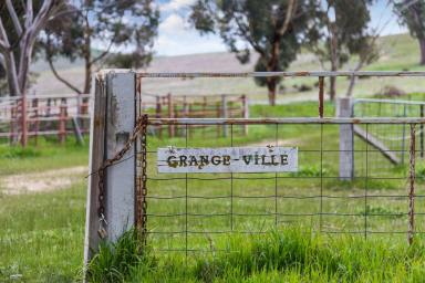 Farm Sold - VIC - Sutton Grange - 3448 - &apos;GRANGE-VILLE&apos;  (Image 2)
