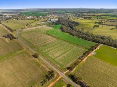 Farm Sold - VIC - Bridgewater - 3516 - Expression of Interest Closes Wednesday 24th August at 12pm  (Image 2)