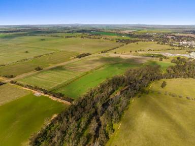 Farm Sold - VIC - Bridgewater - 3516 - Expression of Interest Closes Wednesday 24th August at 12pm  (Image 2)