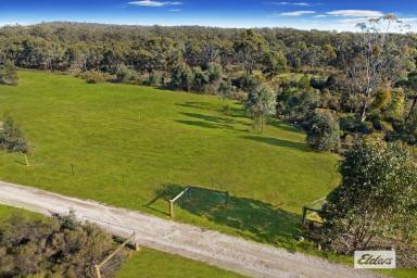 Farm Sold - VIC - Axe Creek - 3551 - AFFORDABLE LIFESTYLE ALLOTMENT – 5 ACRES  (Image 2)