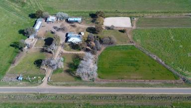 Farm Sold - VIC - Numurkah - 3636 - FEATURE PACKED LIFESTYLE PROPERTY  (Image 2)