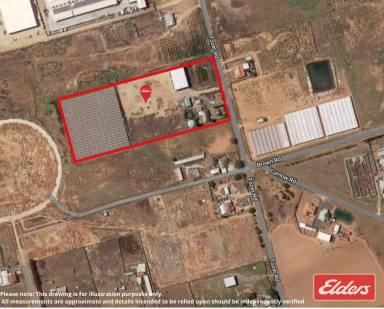 Farm Sold - SA - Waterloo Corner - 5110 - UNDER CONTRACT BY ANDREW PIKE  (Image 2)