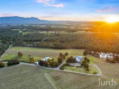 Farm Sold - NSW - Pokolbin - 2320 - GABRIEL'S PADDOCKS WINERY & ACCOMMODATION  (Image 2)