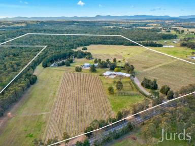 Farm Sold - NSW - Pokolbin - 2320 - GABRIEL'S PADDOCKS WINERY & ACCOMMODATION  (Image 2)