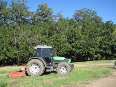 Farm Sold - QLD - Ringtail Creek - 4565 - Commercial Macadamia Farm  (Image 2)