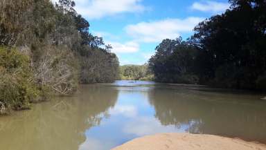 Farm Sold - QLD - Millstream - 4888 - 450 meters of river frontage on 123Acres  (Image 2)