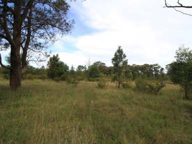 Farm Sold - VIC - Tambo Upper - 3885 - ACREAGE AT TAMBO UPPER  (Image 2)