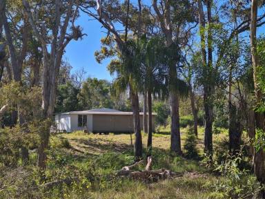 Farm For Sale - QLD - Deepwater - 4674 - 109 ACRES ON BLACKWATER CREEK WITH OWN BOAT RAMP  (Image 2)