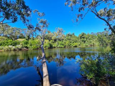 Farm For Sale - QLD - Deepwater - 4674 - 109 ACRES ON BLACKWATER CREEK WITH OWN BOAT RAMP  (Image 2)