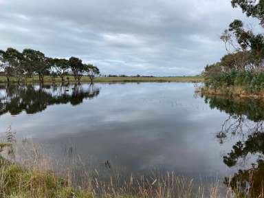 Farm Sold - SA - Duncan - 5223 - 40 Ha. When quality matters! Superb parcel of land. large home, excellent views. Large dam. Vendor open to offers!  (Image 2)