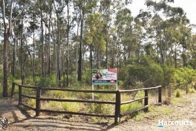 Farm For Sale - QLD - North Isis - 4660 - Lot 63 Back on the Market!  (Image 2)