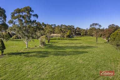 Farm Sold - NSW - Thirlmere - 2572 - When location and opportunity matter! 4.94 acres R5 zoned property  (Image 2)