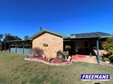 Farm Sold - QLD - Kingaroy - 4610 - One fenced acre, high on the hill  (Image 2)