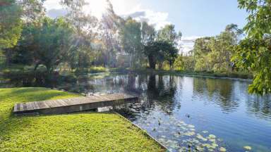 Farm Sold - QLD - Tamborine - 4270 - Just Listed  (Image 2)