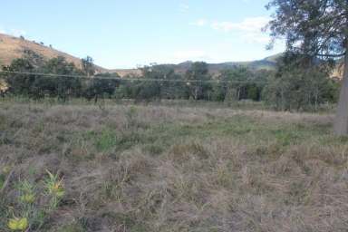 Farm Sold - QLD - Black Snake - 4600 - FERTILE LIFESTYLE BLOCK  (Image 2)