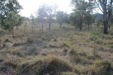 Farm Sold - QLD - Black Snake - 4600 - FERTILE LIFESTYLE BLOCK  (Image 2)