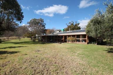Farm Sold - NSW - Quipolly - 2343 - 384 Kingsmill Rd QUIPOLLY  (Image 2)