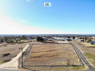Farm Sold - NSW - Inverell - 2360 - RARE AS HENS TEETH  (Image 2)