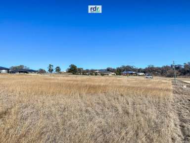 Farm Sold - NSW - Inverell - 2360 - RARE AS HENS TEETH  (Image 2)