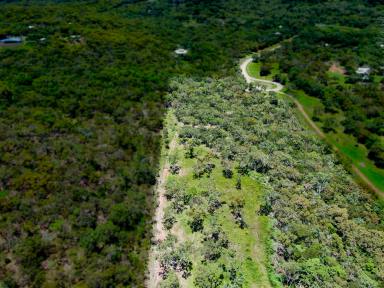 Farm For Sale - QLD - Cooktown - 4895 - Rural Town Block or Potential Subdivision  (Image 2)