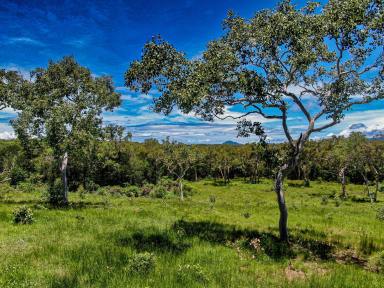 Farm For Sale - QLD - Cooktown - 4895 - Rural Town Block or Potential Subdivision  (Image 2)